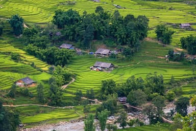 Du lịch Sapa tháng 8 có gì đẹp? 10 trải nghiệm không thể bỏ lỡ mùa xanh Tây Bắc