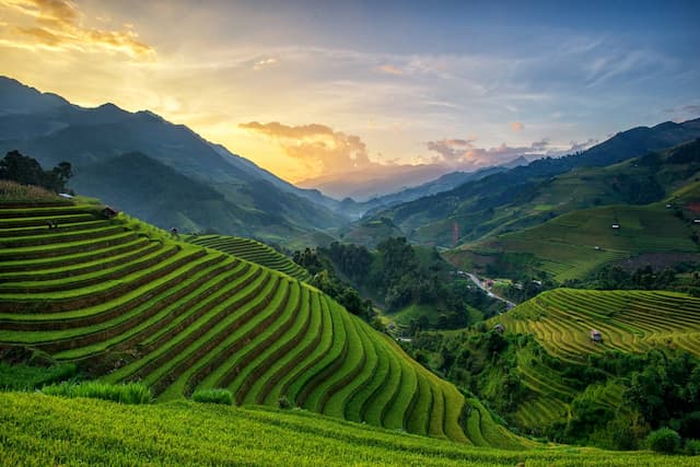 Mù Cang Chải tháng 8 có gì đẹp? Kinh nghiệm du lịch chi tiết 2026