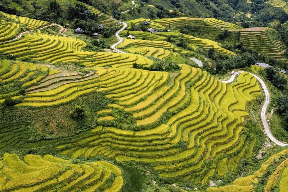 Hoàng Su Phì mùa lúa chín từ trên cao