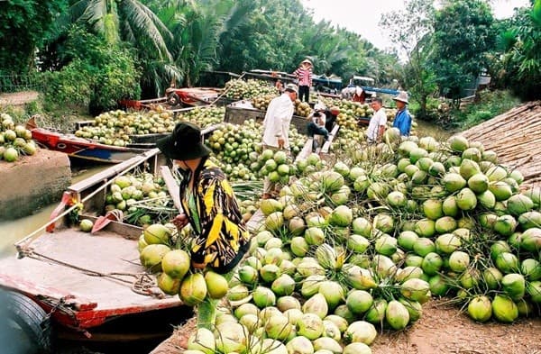 Kinh nghiệm du lịch Bến Tre: Ở đâu, chơi gì, quán ăn ngon rẻ?