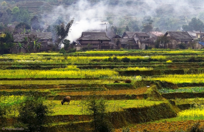 Hà Giang mùa cải vàng - mùa của những nhớ thương đong đầy