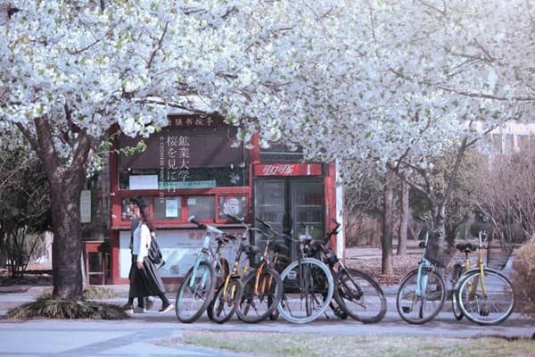 Tour HN - Vũ Hán - Ngân Hạnh Cốc - Tây Lăng Hiệp - Thần Nông Giá 6N5Đ