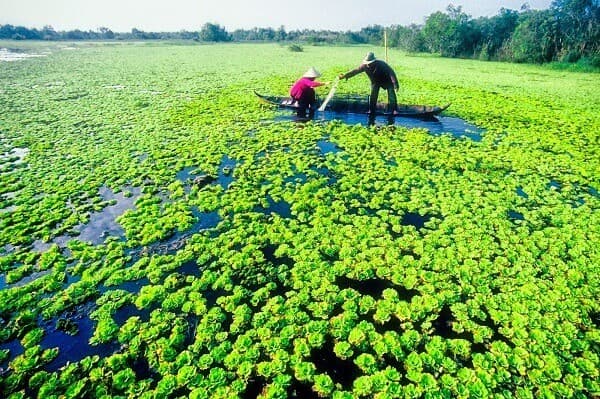 Tour 6 tỉnh miền Tây: Tiền Giang - Bến Tre - Cần Thơ - Sóc Trăng - Bạc Liêu - Cà Mau từ Hà Nội