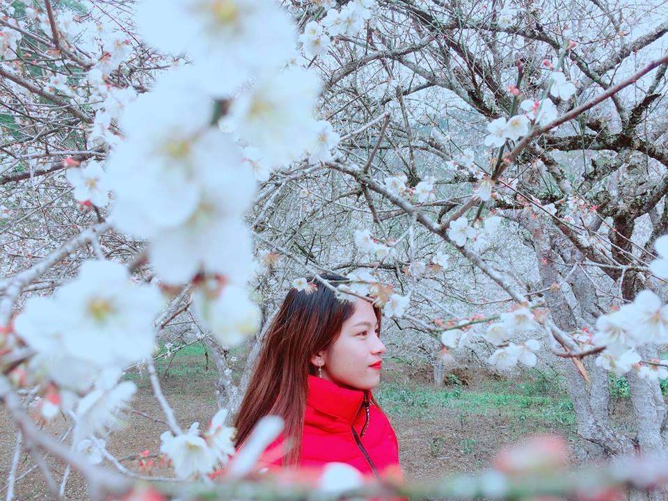Ảnh du lịch