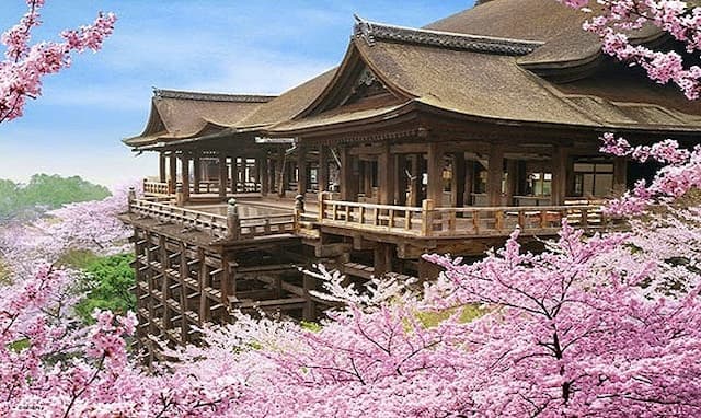 Tour du lịch Nhật Bản mùa hoa anh đào 2020: HN - Tokyo - Hakona - Phú Sĩ - Osaka - HN