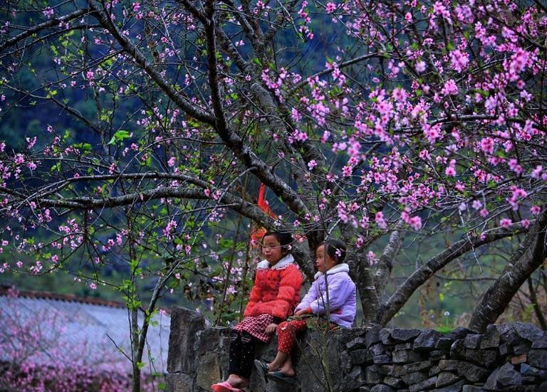 Hà Giang tháng 3 có gì? Tìm hiểu "chất gây nghiện" miền đá chốn này nào!