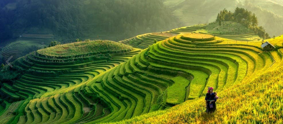 Về Mù Cang Chải tháng 8 - Bạt ngàn mùa lúa xanh mướt