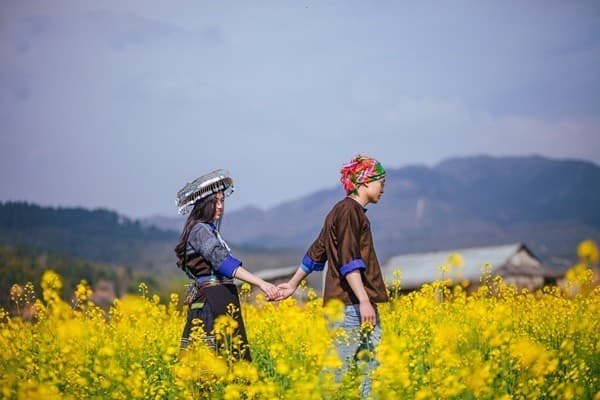 Tour TP.HCM - Hà Nội - Mù Cang Chải - Đèo Ô Quy Hồ - Sapa - 4 ngày 3 đêm