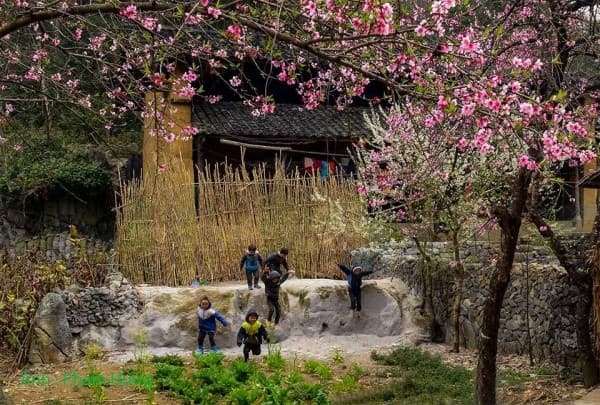 Du lịch Hà Giang tháng 2 - Mùa hoa đào nở rộ