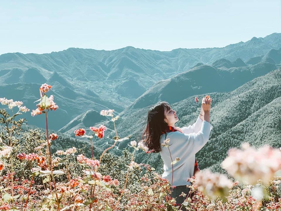 Thời tiết như thế này, có nên lên Hà Giang hứng lạnh?!