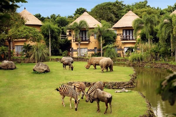 Khám phá thiên nhiên hoang dã tại công viên Bali Safari & Marine Park