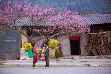 Đừng gọi tên Hà Giang mùa xuân - Bởi kẻ lữ hành nào cũng day dứt khôn nguôi!
