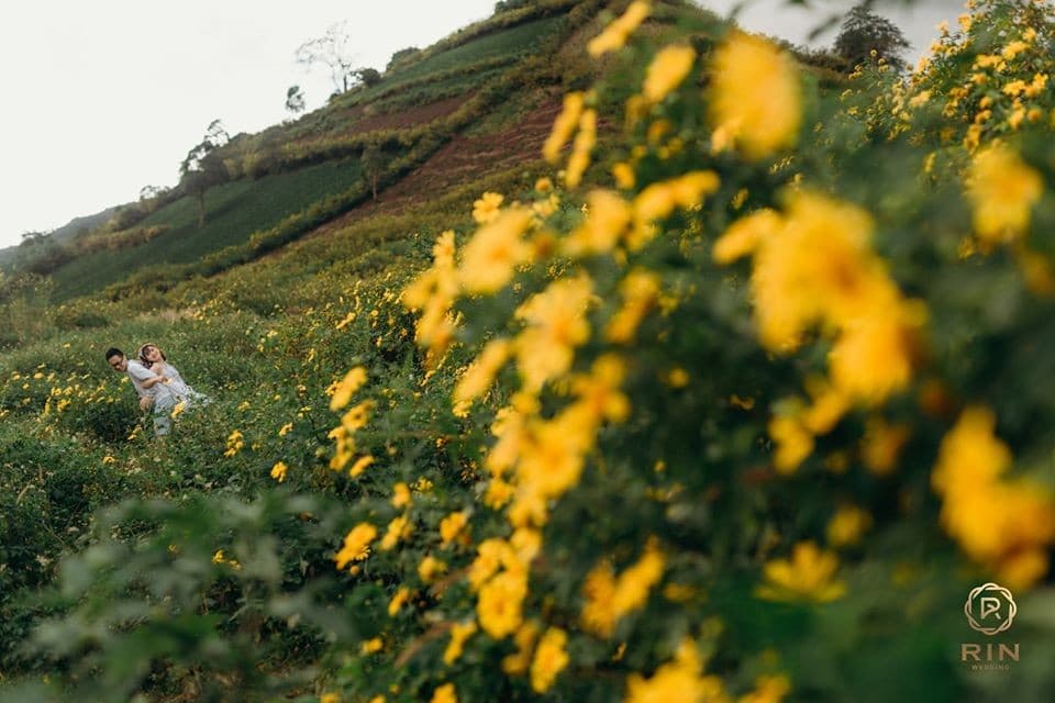 Khám phá Chư Đăng Ya - "củ gừng dai" nơi núi rừng Gia Lai