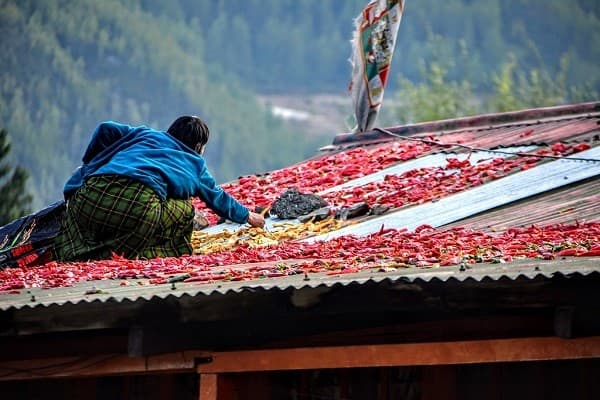Ớt và những món ăn cay tại Bhutan
