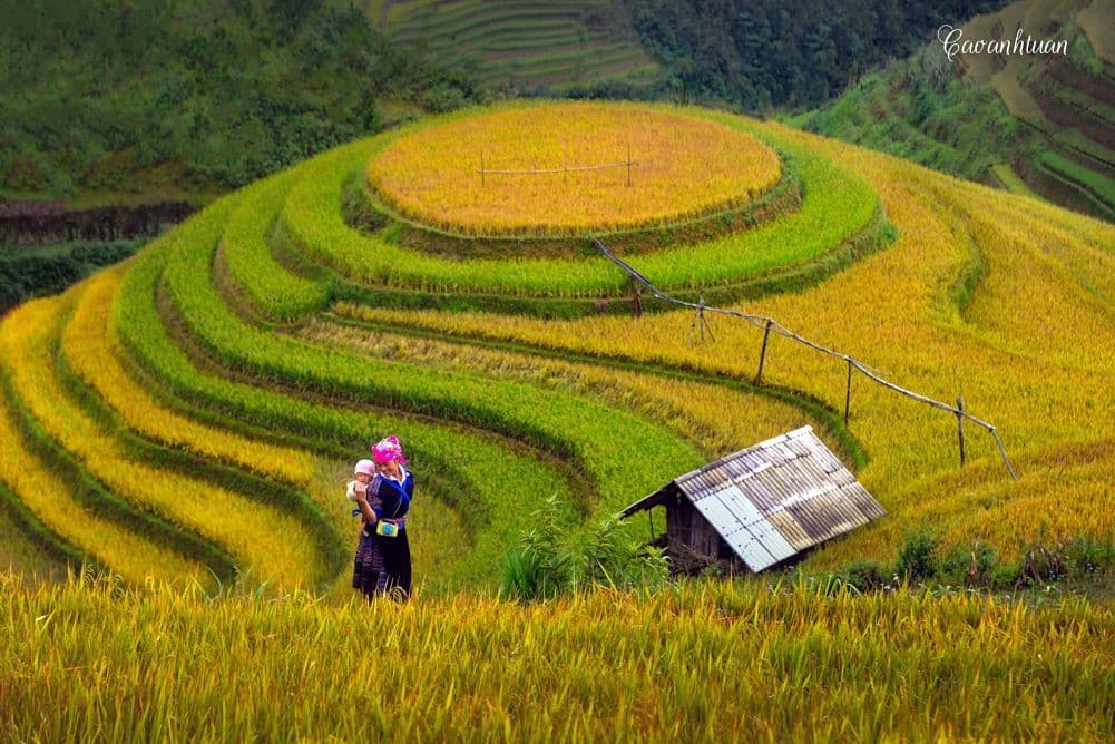 Phượt Mù Cang Chải tháng 9