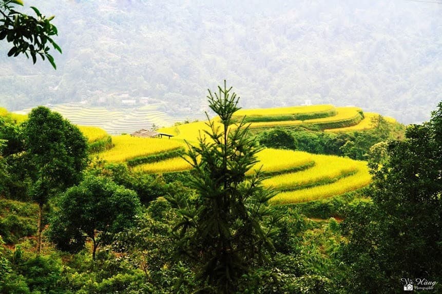 Hà Giang tháng 9 tấm thổ cẩm mùa lúa nương