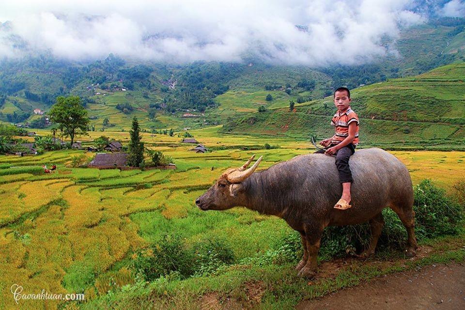 Ảnh du lịch