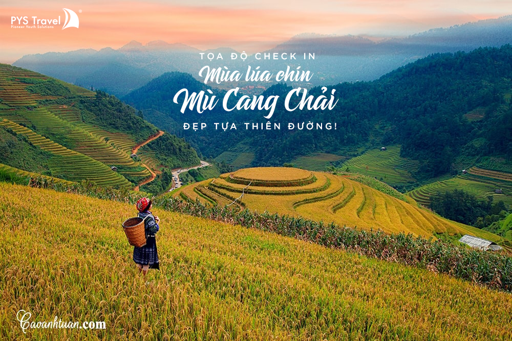 Phải lòng 5 địa điểm ngắm lúa chín Mù Cang Chải