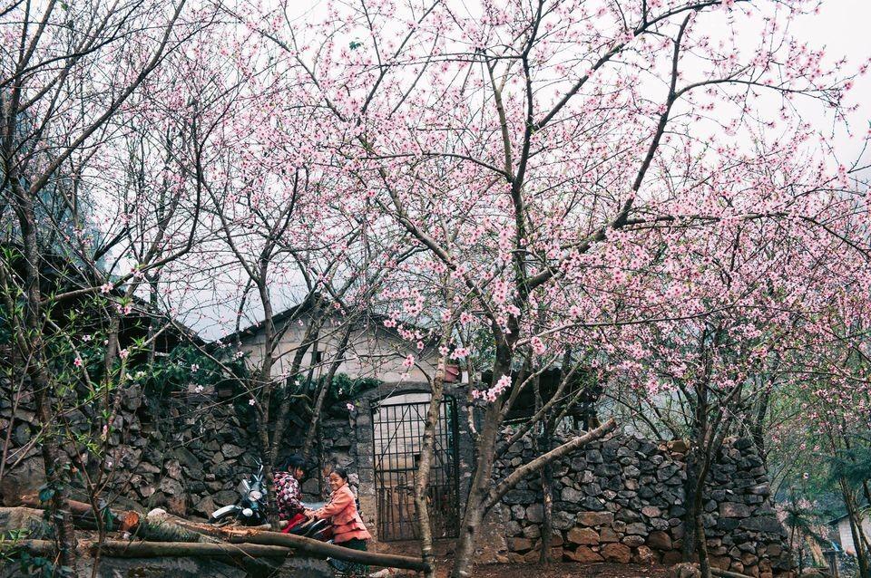 Ảnh du lịch