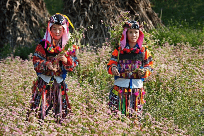 Ảnh du lịch