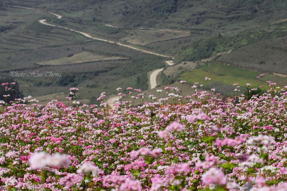Ảnh du lịch