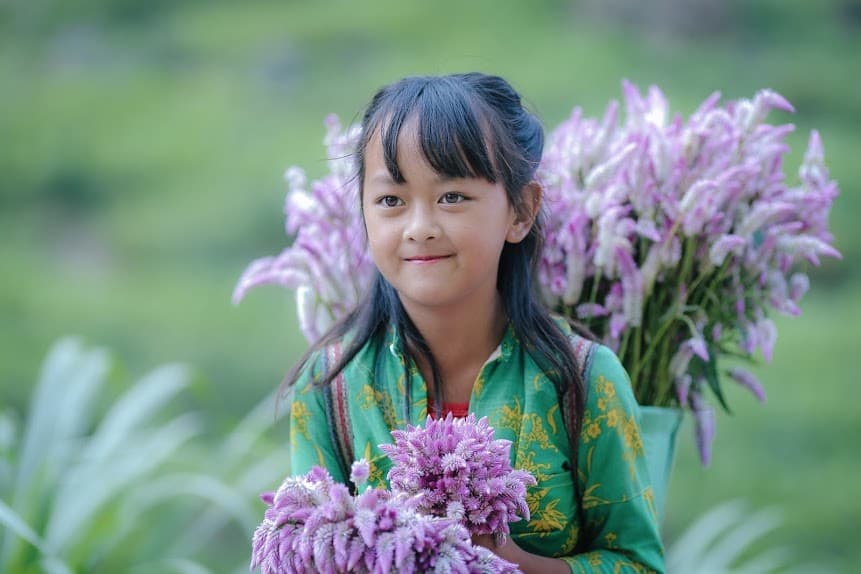 Cao nguyên đá Hà Giang qua những góc nhìn