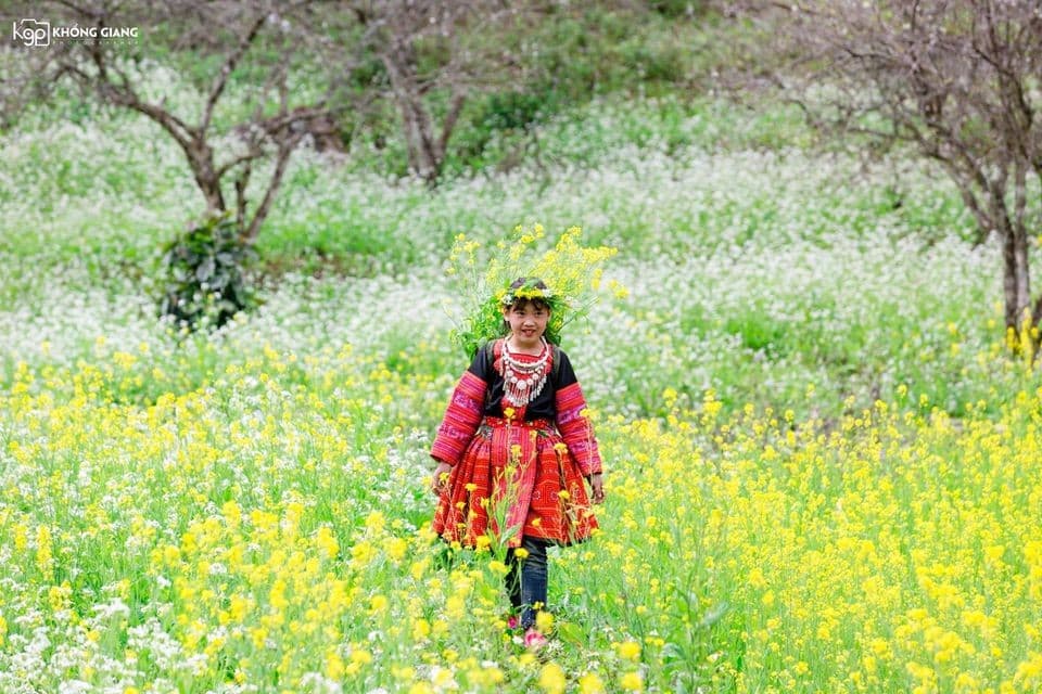 Mùa cải trắng đến rồi, lưu ngay địa điểm săn hoa đẹp nhất Mộc Châu 2020 đi thôi!