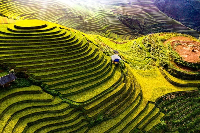 Lập team thử ngay trải nghiệm dù lượn Mù Cang Chải tháng 9 để không phí hoài tuổi thanh xuân
