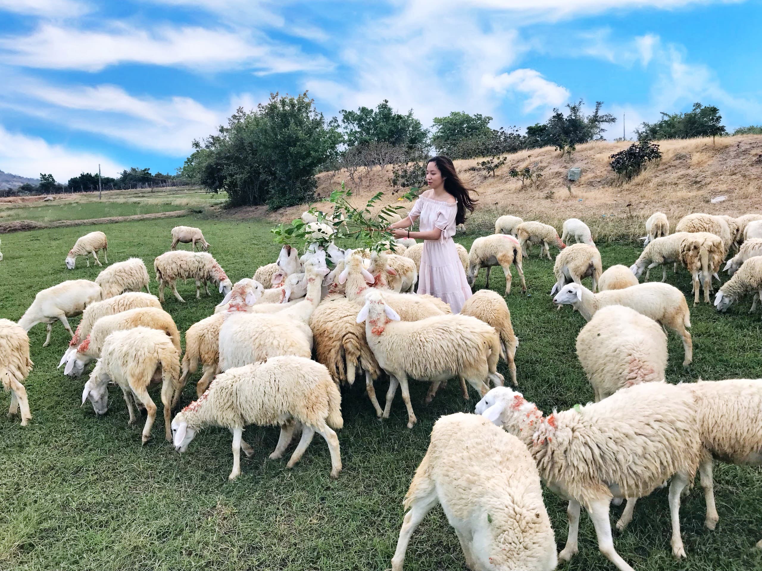 Tour Ninh Thuận - Vĩnh Hy 4 ngày 3 đêm từ Hà Nội: Khám phá vùng đất 300 ngày nắng