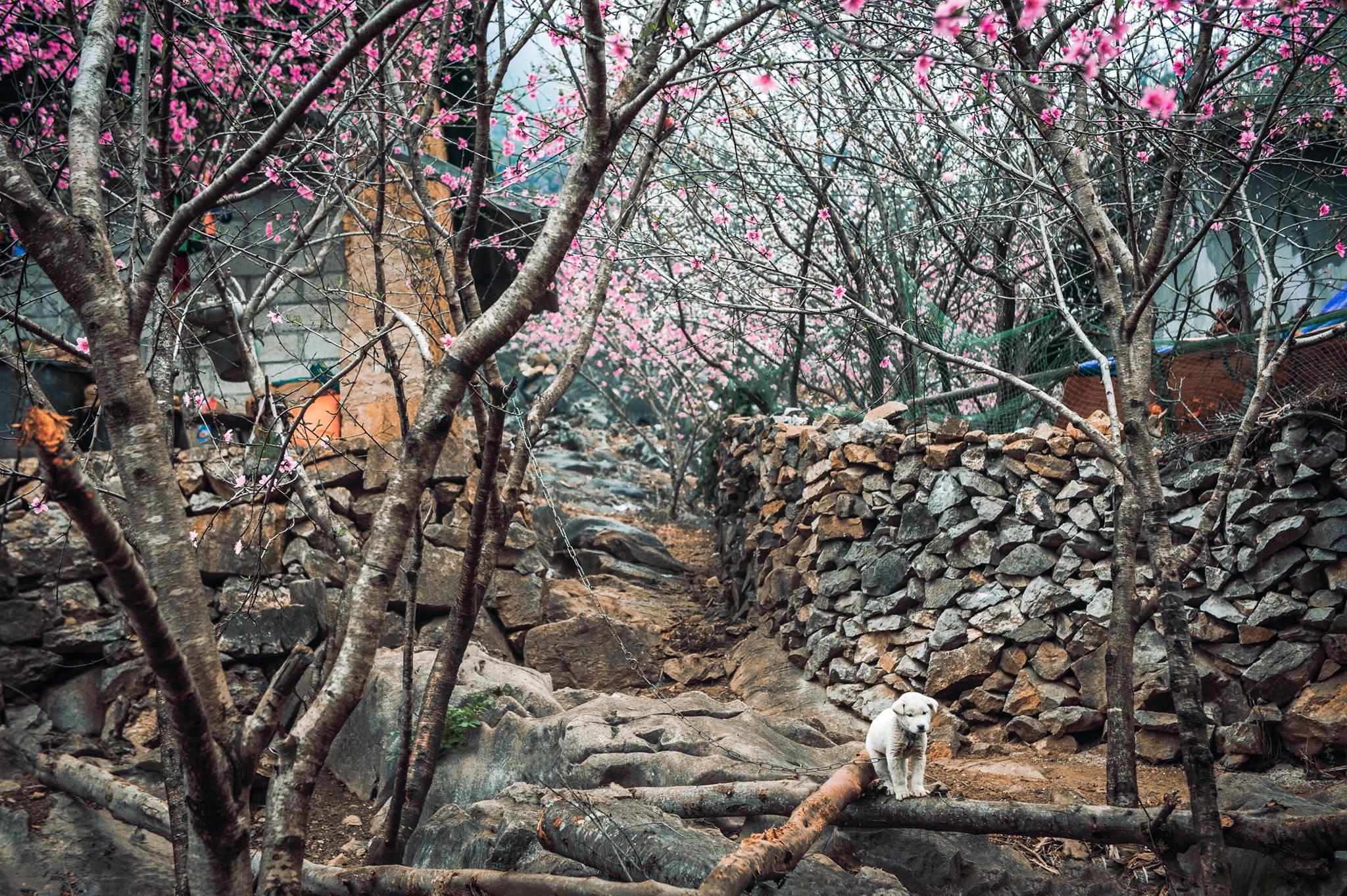Ảnh du lịch