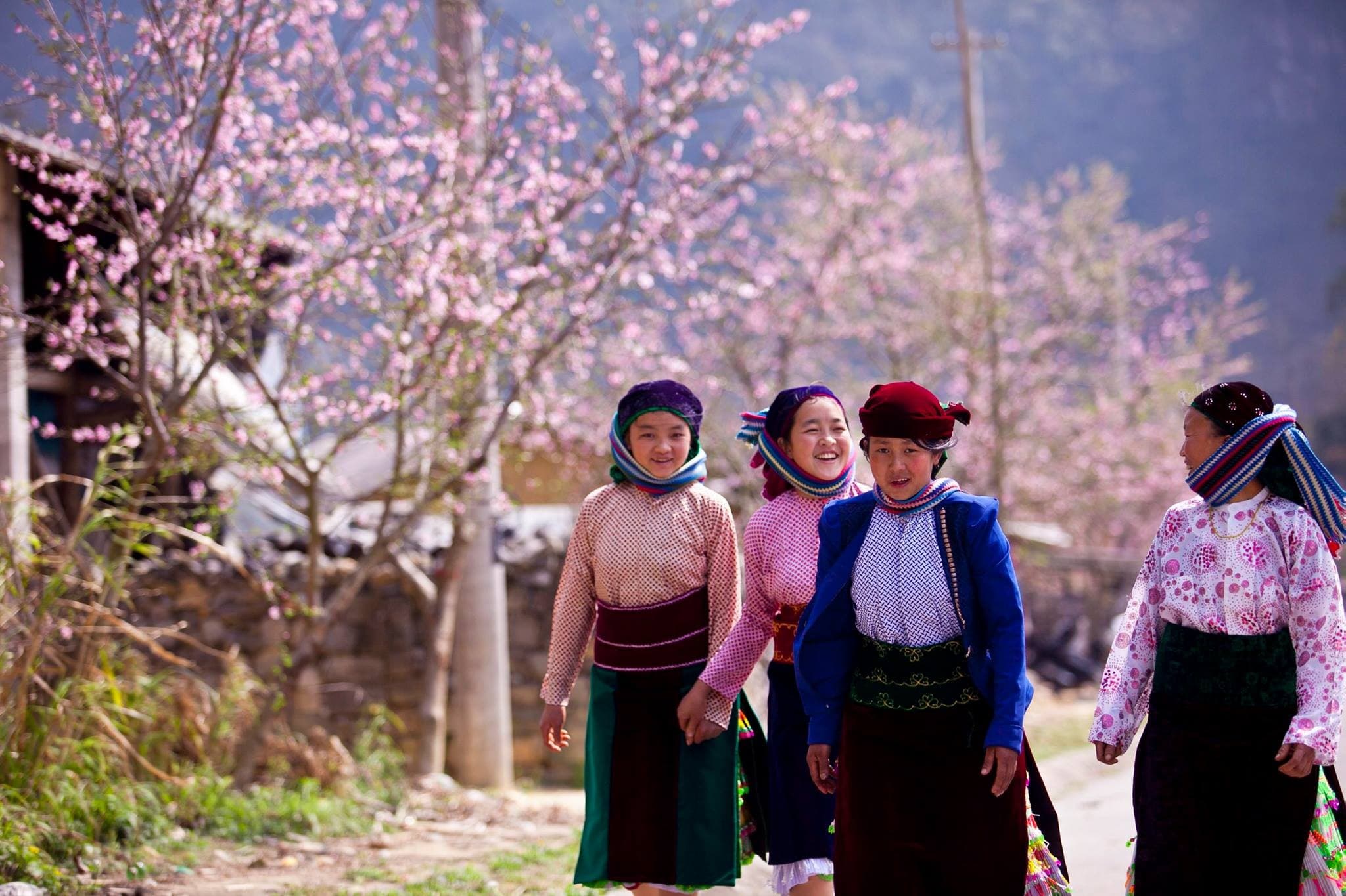 Hà Giang Tết âm lịch: Trải nghiệm một mùa xuân thật đẹp, thật nồng nàn nơi cao nguyên đá