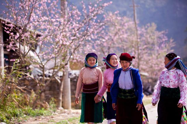 Hà Giang ngày Tết có gì đẹp? Ngắm hoa xuân và khám phá bản làng