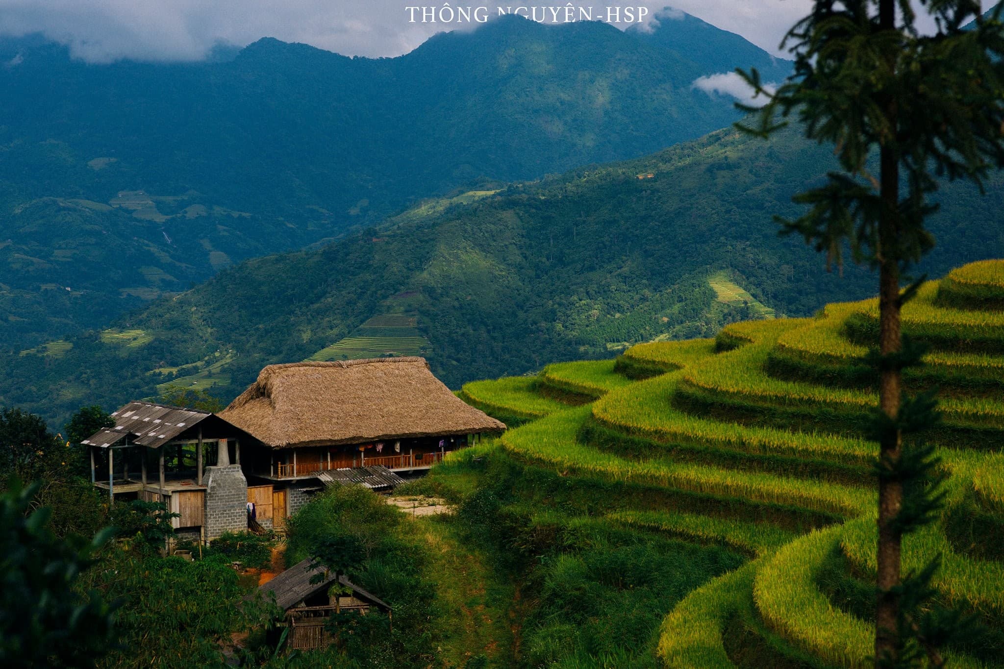 Tháng 10 này, ghé thăm Hoàng Su Phì có gì đẹp?