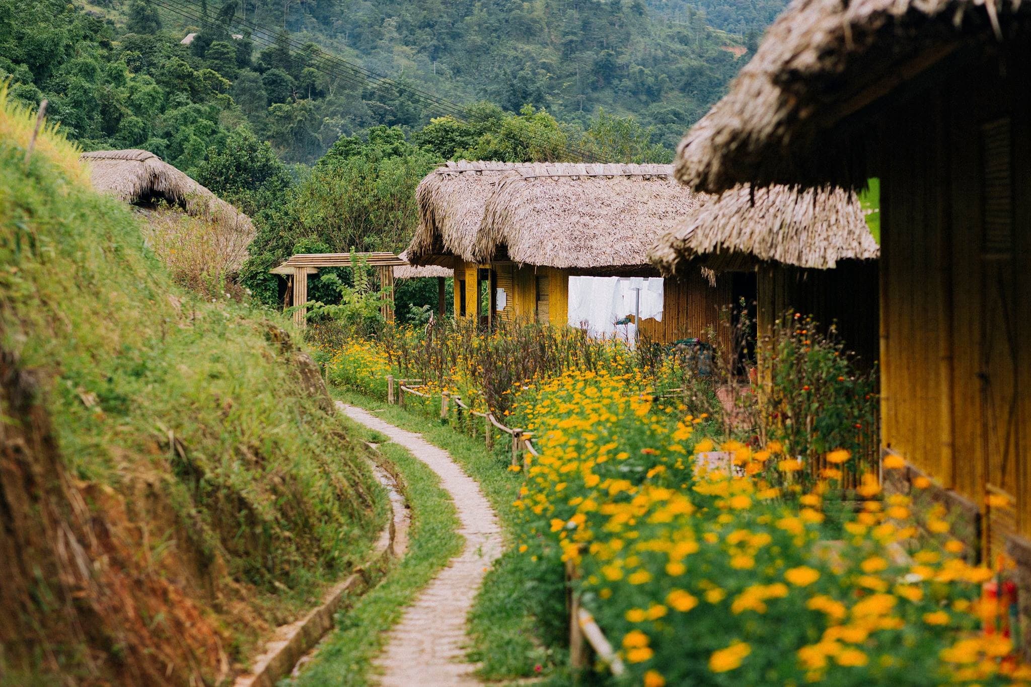 "Mục sở thị" ngay 4 homestay Hà Giang cho chuyến hành trình săn tam giác mạch cực chất