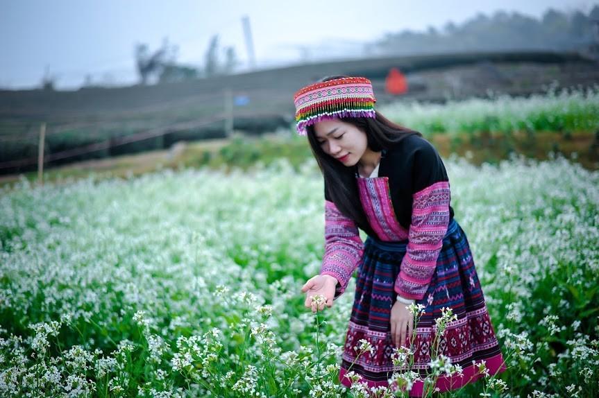 Tháng 11 ‘bằng mọi giá’ phải đến Mộc Châu săn hoa cải trắng