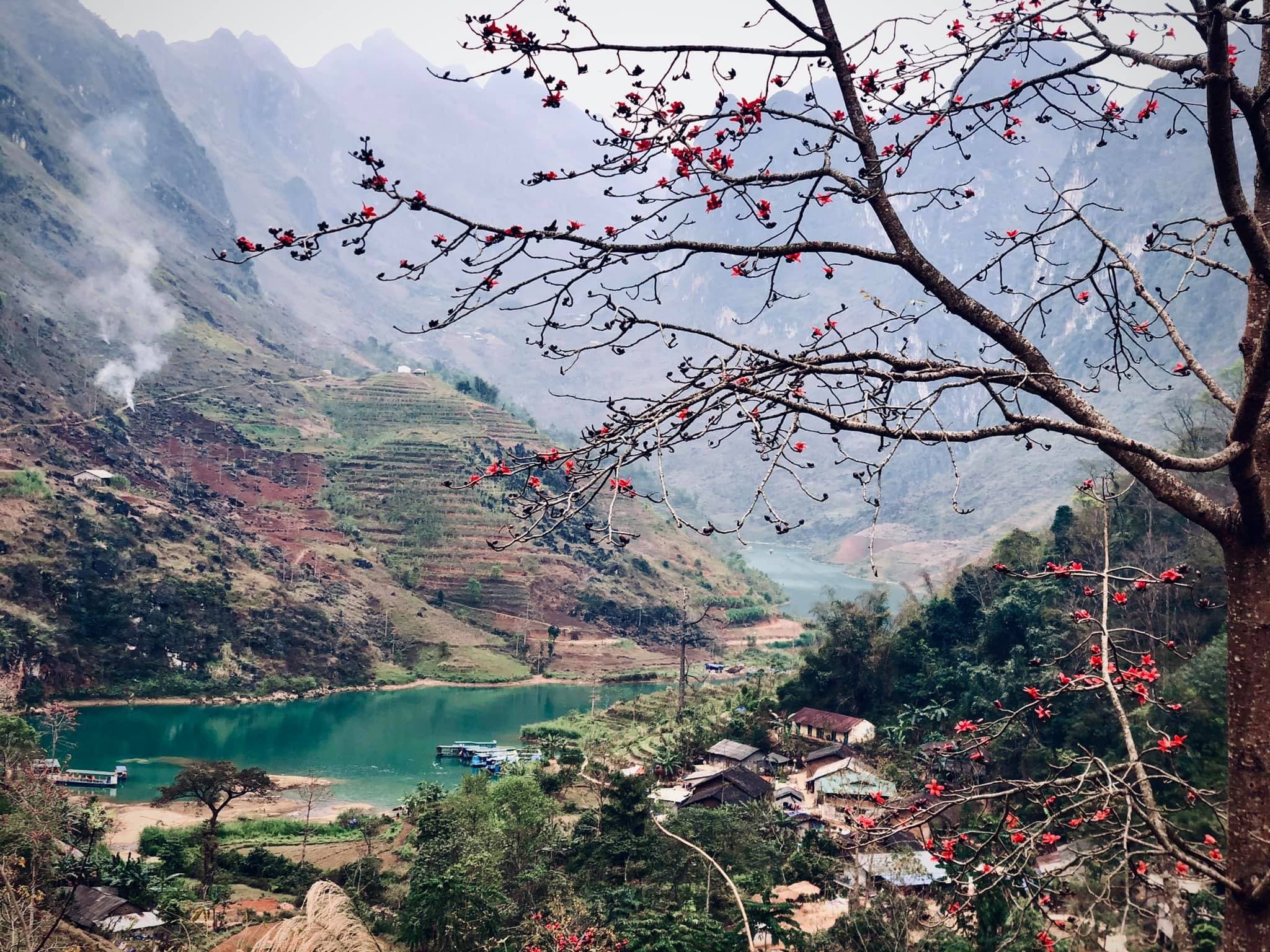 Hoa gạo tháng 3 – ngọn đèn đỏ trên địa đầu tổ quốc Hà Giang.