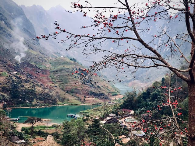 Hoa gạo tháng 3 – ngọn đèn đỏ trên địa đầu tổ quốc Hà Giang.