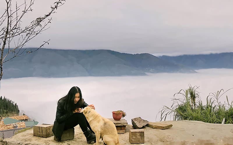 Săn mây Tà Xùa hành trình "xê dịch" tuyệt vời dành cho người trẻ