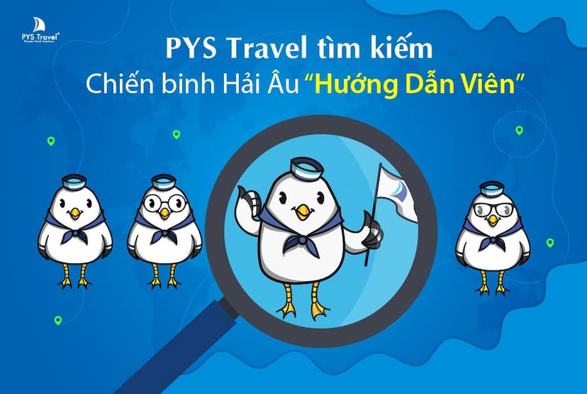 PYS Travel tìm kiếm các chiến binh Hải Âu "Hướng Dẫn Viên"