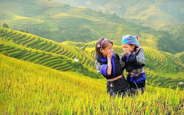 Arrozales en Vietnam (Guía esencial)