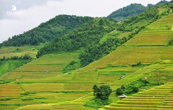 Du lịch Mù Cang Chải 2 ngày 1 đêm liệu có tham quan hết các điểm?