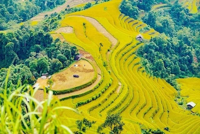 Cổng trời Hoàng Su Phì - Điểm ngắm ruộng bậc thang đẹp nhất Hà Giang không thể bỏ lỡ