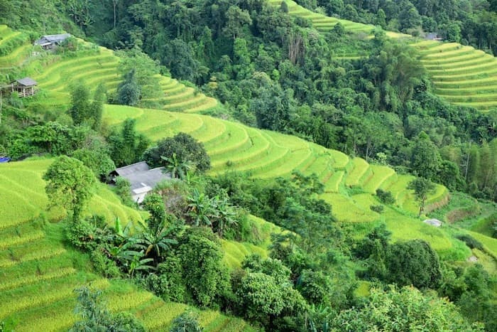 Kinh nghiệm đi du lịch Hoàng Su Phì nhất định bạn phải biết