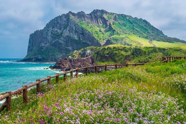 Kinh nghiệm du lịch Jeju tự túc