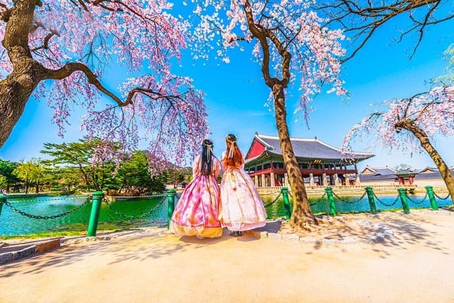 Du lịch mùa xuân Hàn Quốc có điều gì đặc sắc?