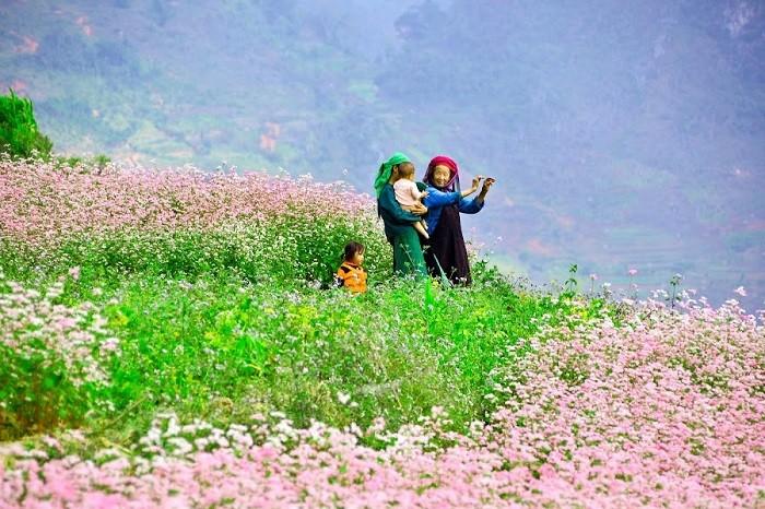 Chơi tẹt ga với lịch trình Hà Giang 4 ngày 3 đêm