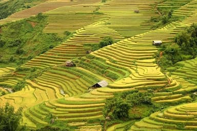 Du lịch Hà Giang tháng 8: Thời tiết, điểm đến đẹp và kinh nghiệm hữu ích 2026