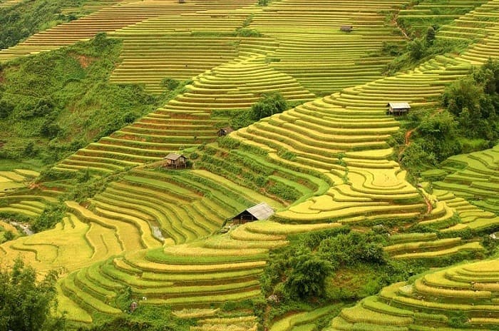 Hà Giang tháng 8 - Điều ngọt ngào nào đang chờ đợi bạn