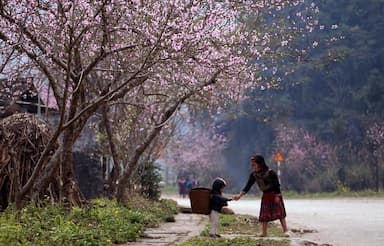 Khám phá Hà Giang tháng 3 với mùa hoa nở và những trải nghiệm khó quên