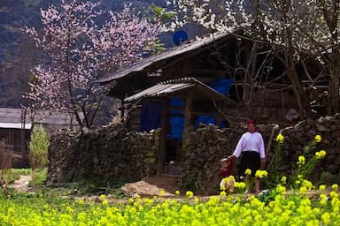 Du lịch Hà Giang tháng 1 để đắm mình giữa muôn sắc xuân